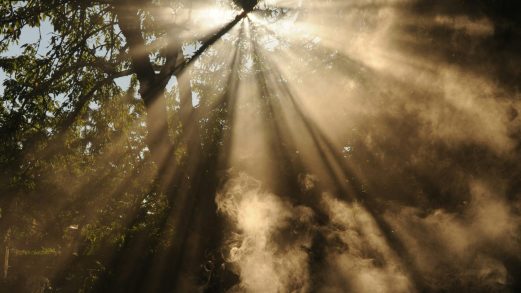 wonderlane rmultyoryq unsplash wonderlane rmultyoryq unsplash